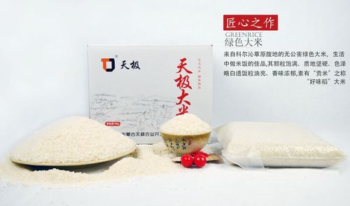 逛国际美食博览会,最强攻略看这里～